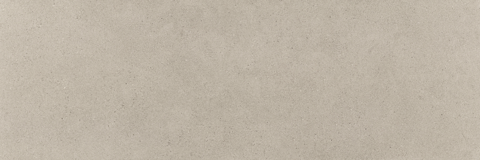 Hardy Tortora 40X120