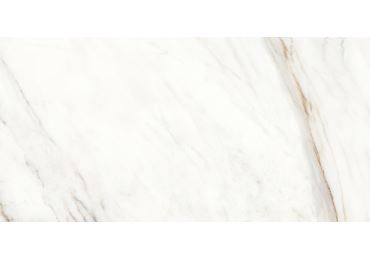 Hera white 60x120