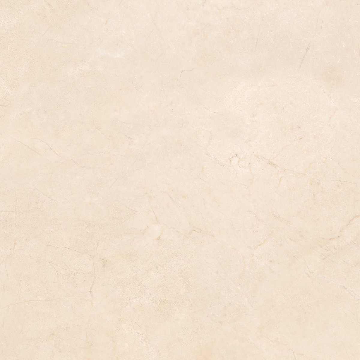 Herse-R Marfil 59,3X59,3