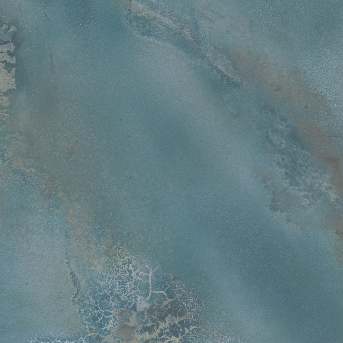 Hydra Aqua  Lap 90X90