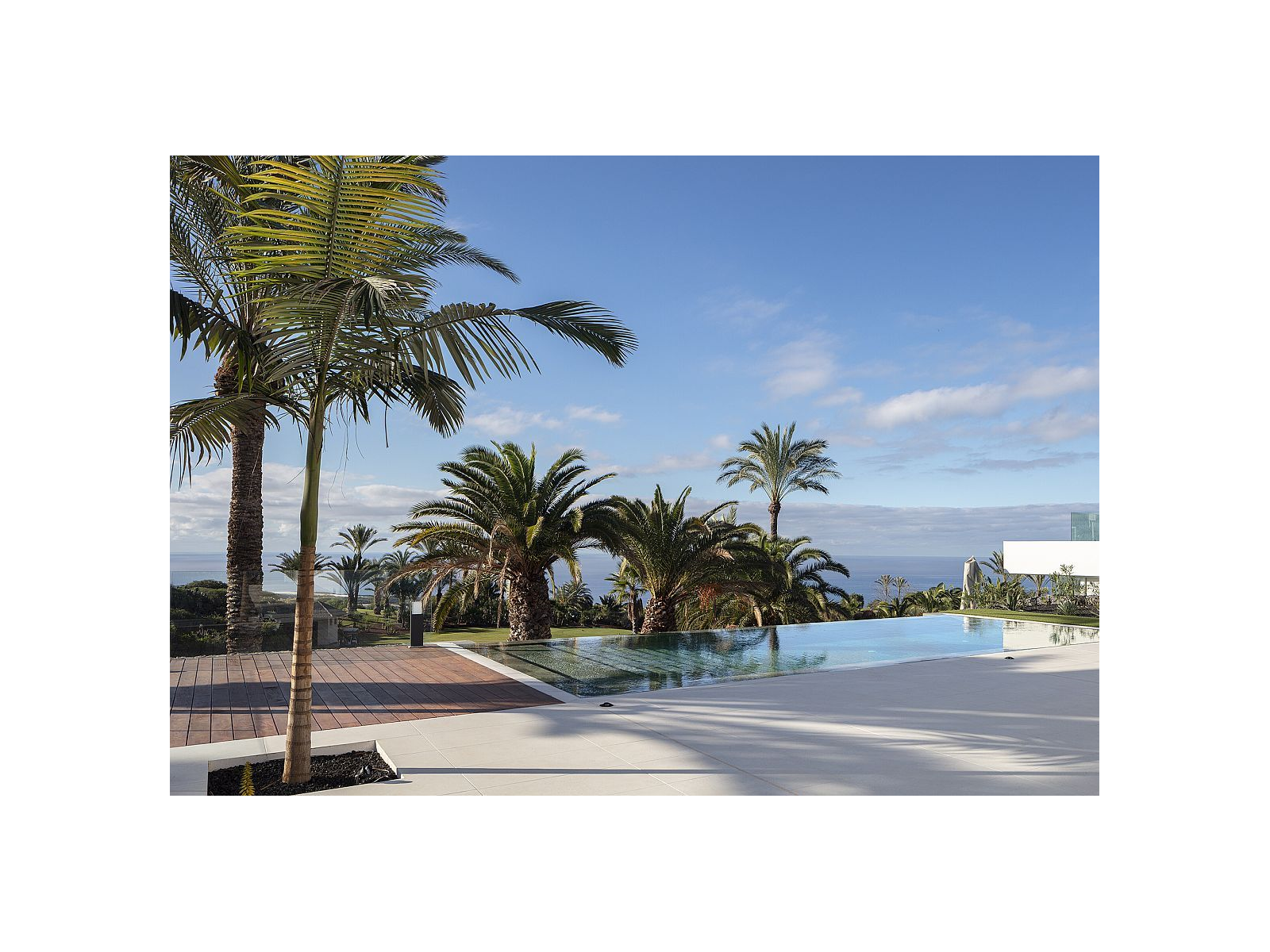 Iconic Grey Ant. 31,0X62,6