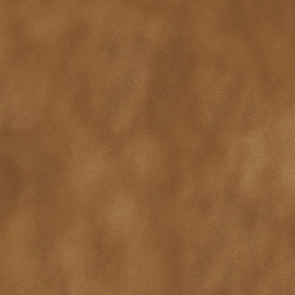 Inca Cuero 33X33