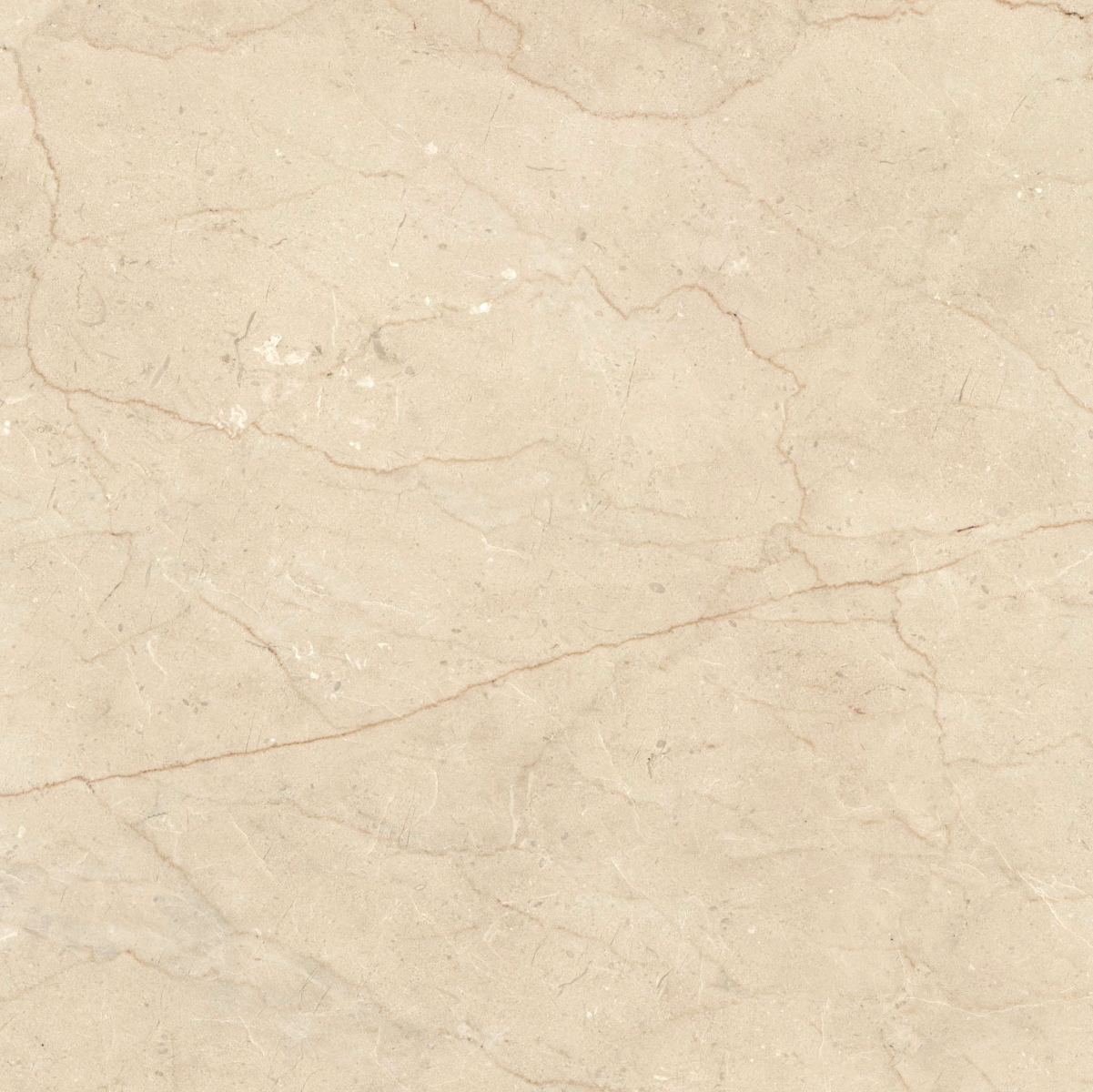Incanto Beige Alicante Glossy Rt 60X60