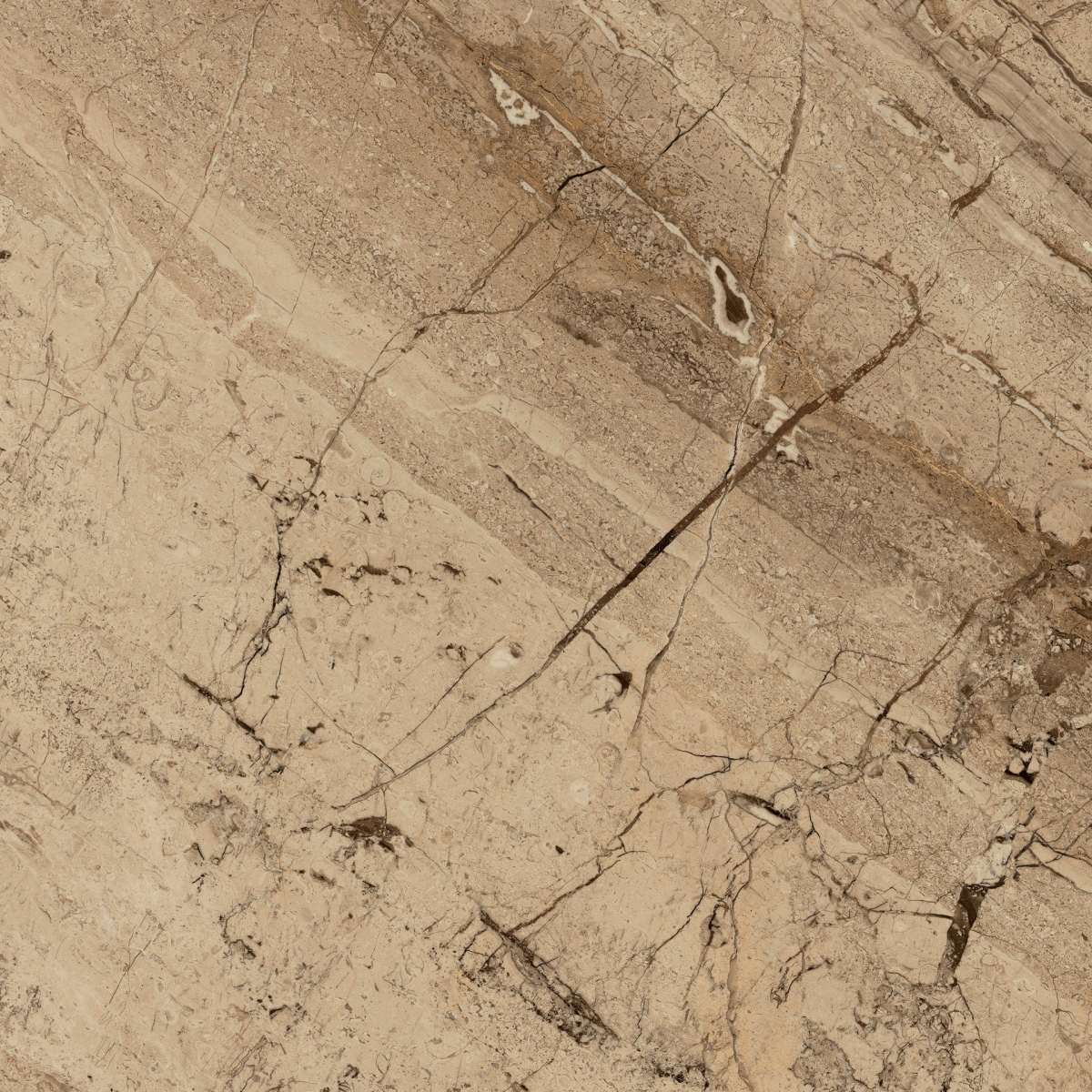 Incanto Breccia Aurora Glossy Rt 60X60