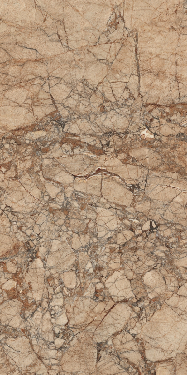 Incanto Breccia Pernice Glossy Rettificato 60X120