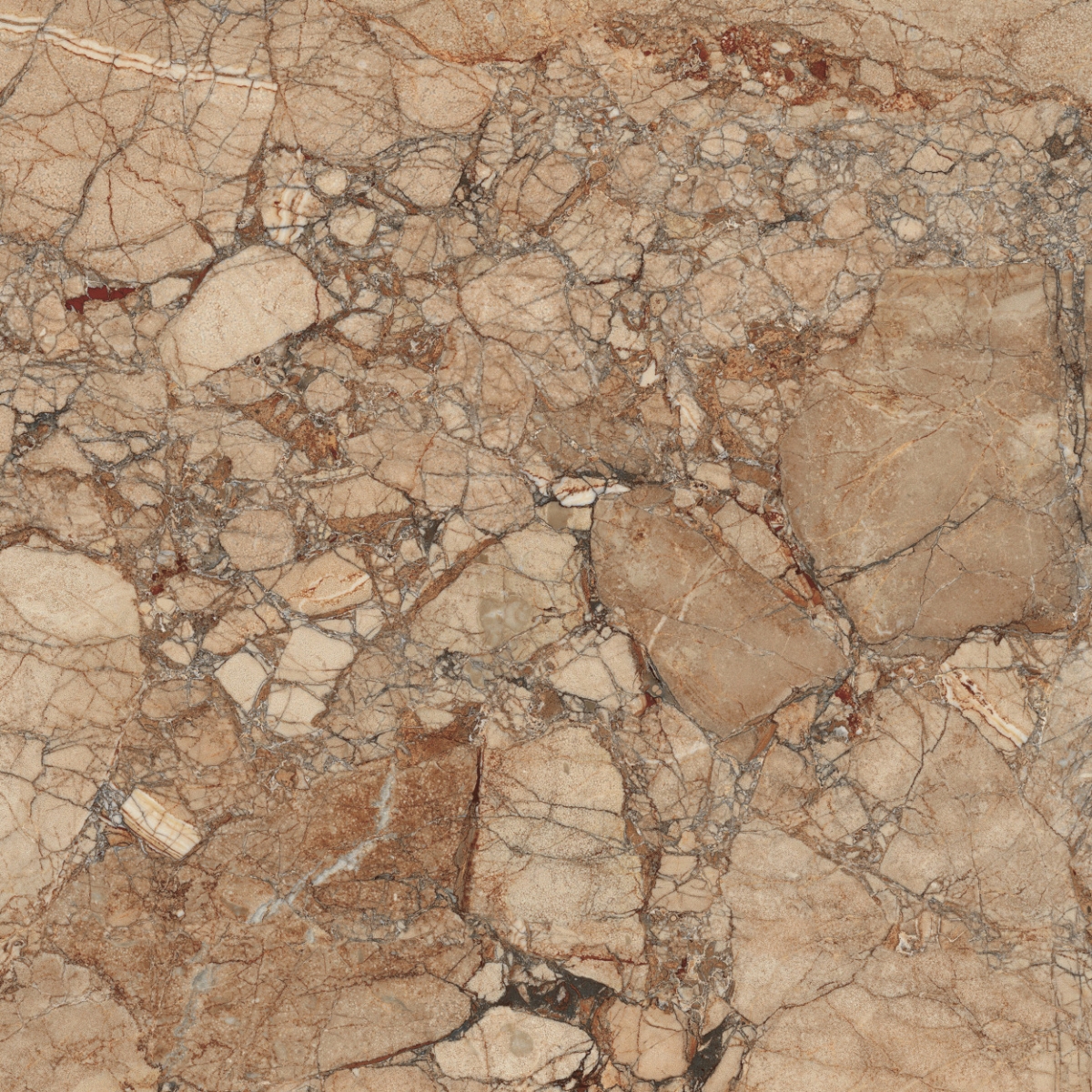 Incanto Breccia Pernice Rt 60X60