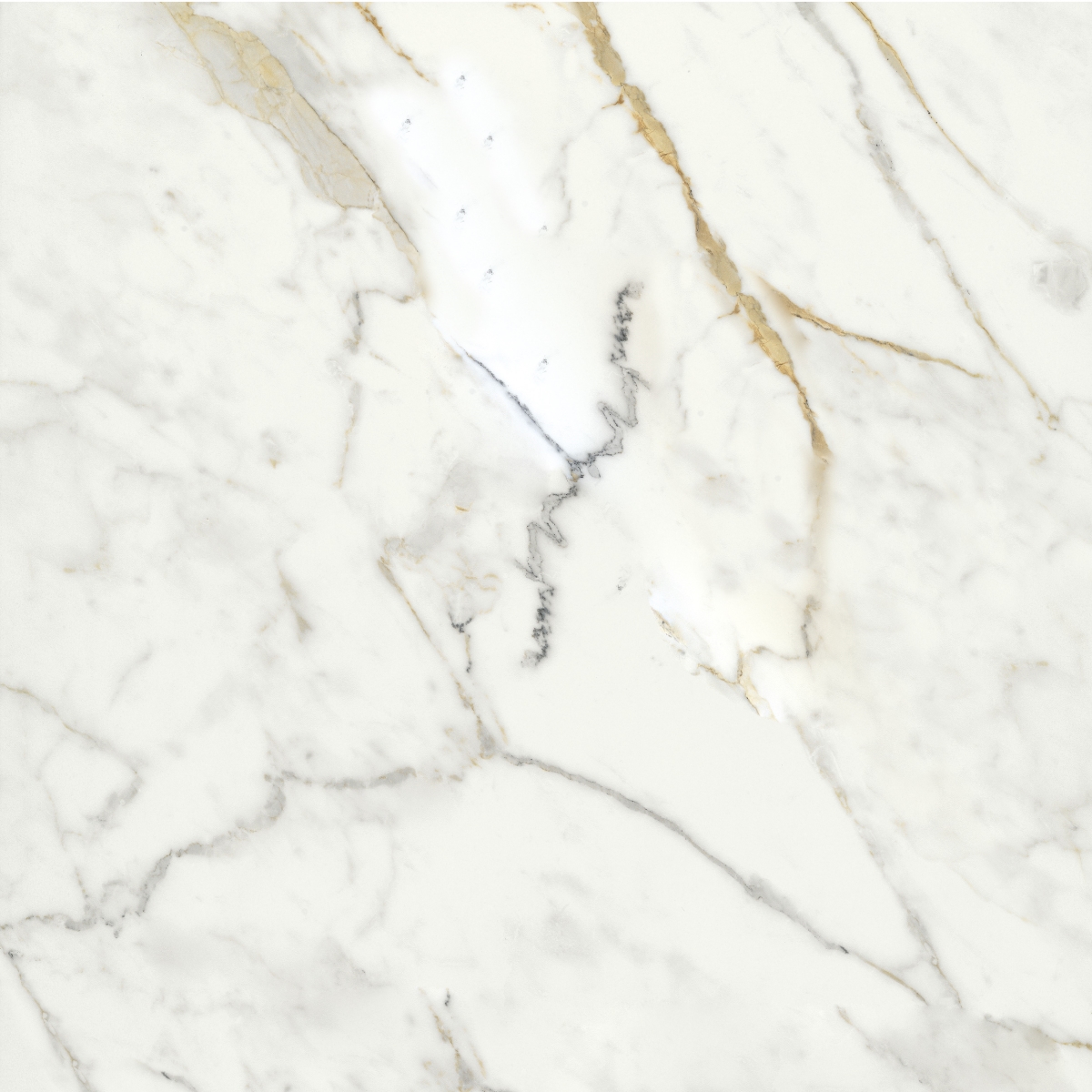 Incanto Calacatta Michelangel Glossy Rt 75X75