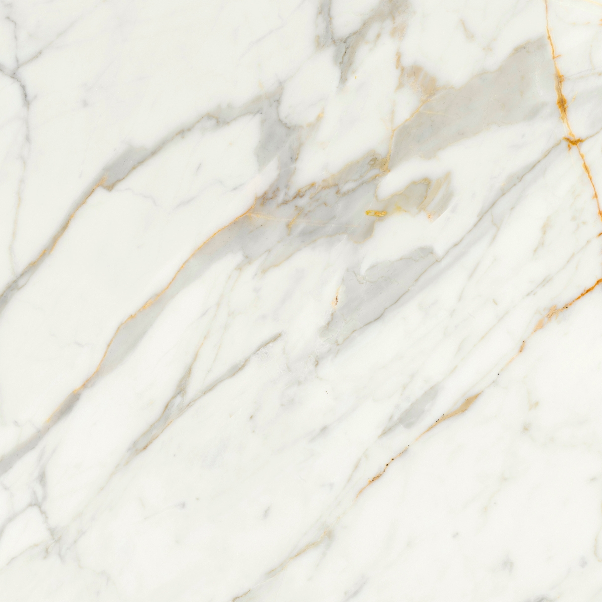 Incanto Calacatta Michelangelo Glossy Rt 60X60