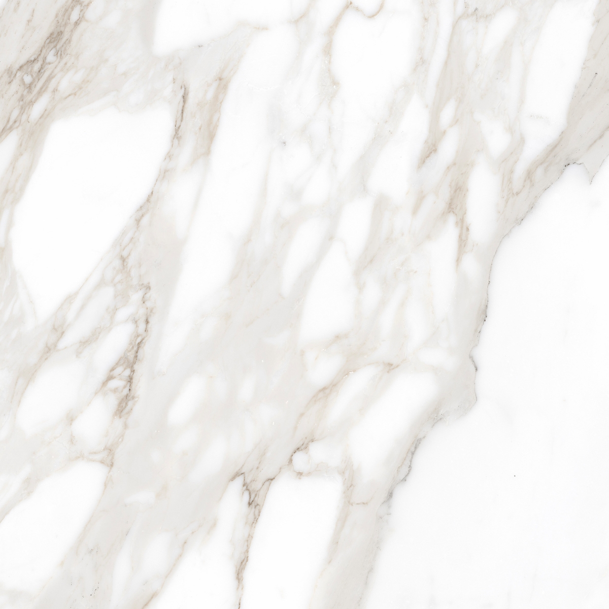 Incanto Calacatta Nobile Glossy Rt 60X60