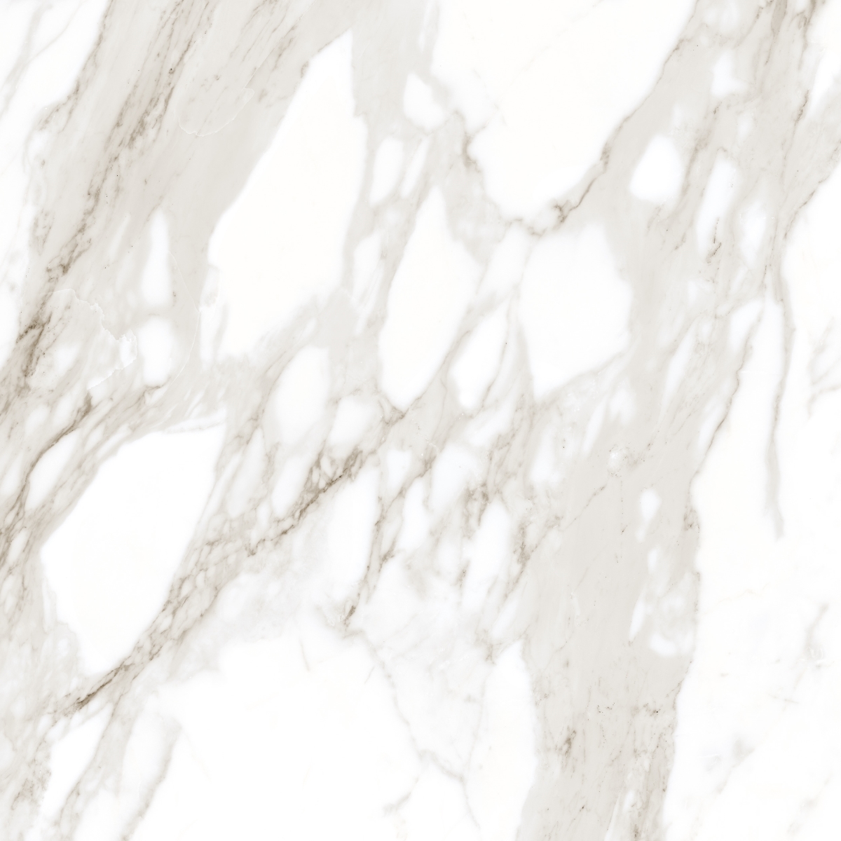 Incanto Calacatta Nobile Rt 75X75