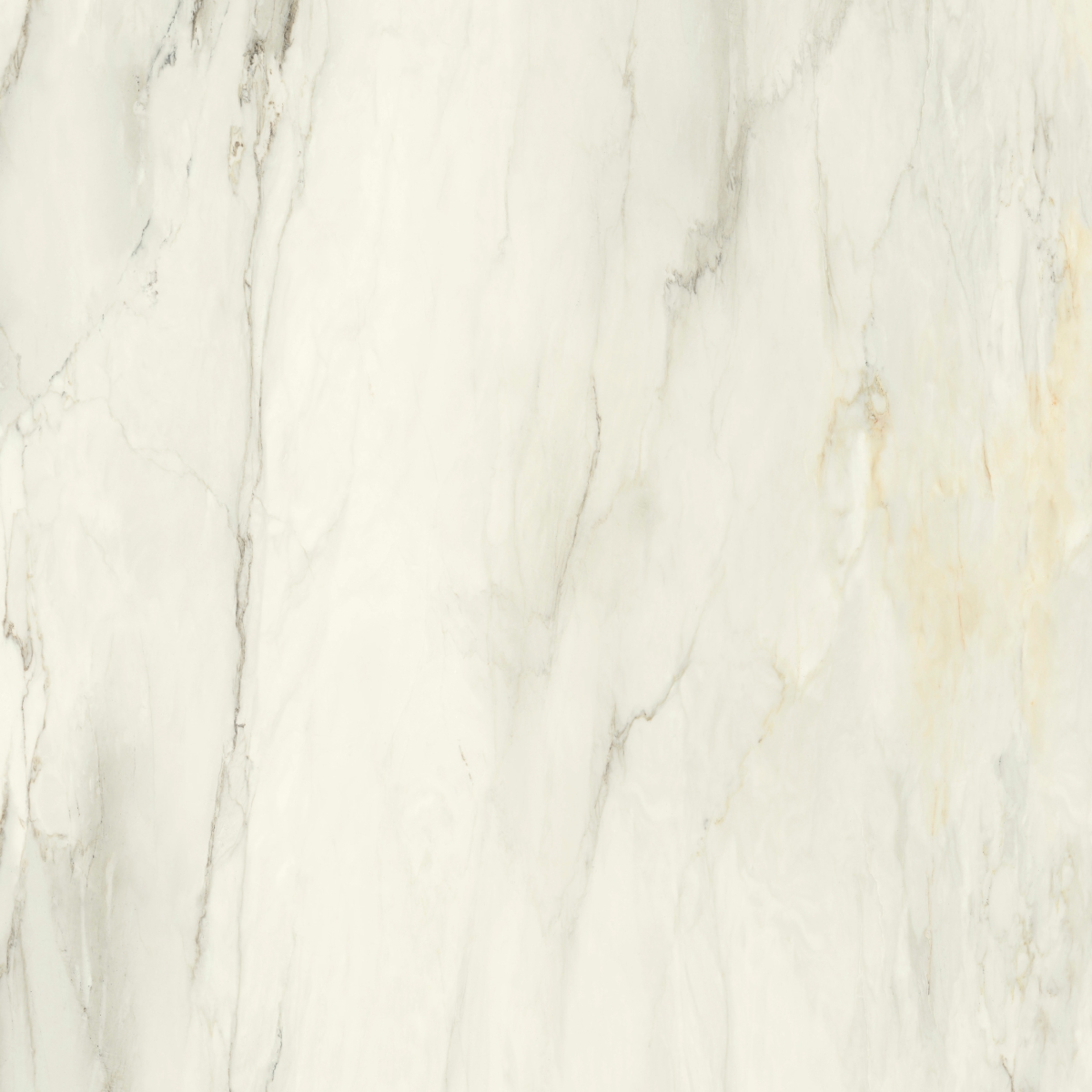 Incanto Cremo Delicato Glossy Rettificato 120X120