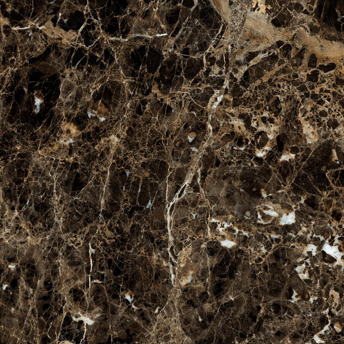 Incanto Emperador Glossy Rt 60X60