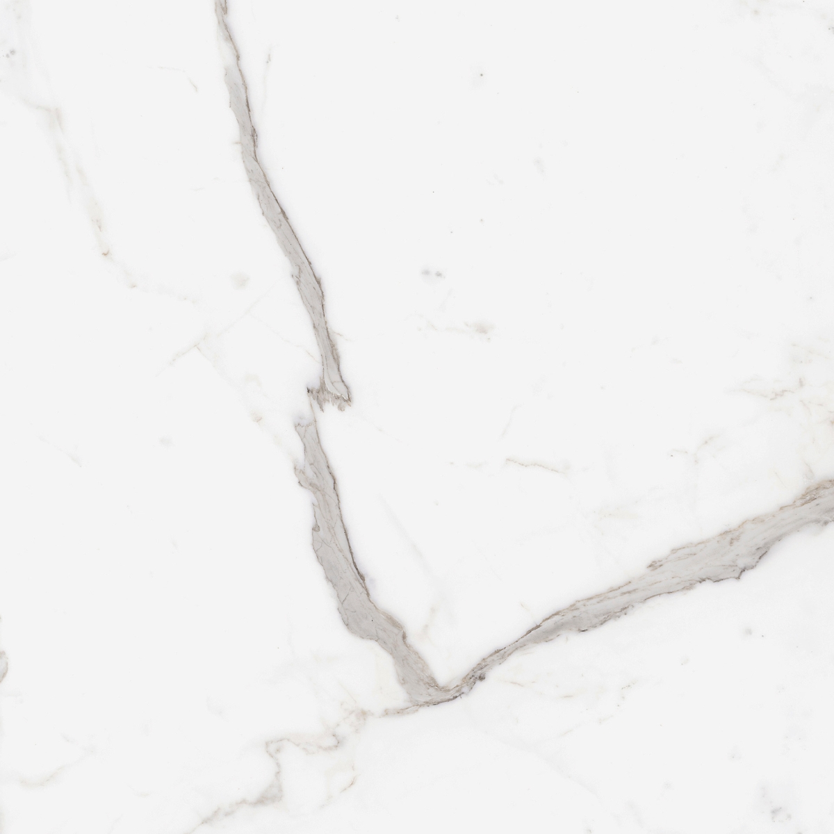Incanto Statuario Venato Glossy Rt 60X60