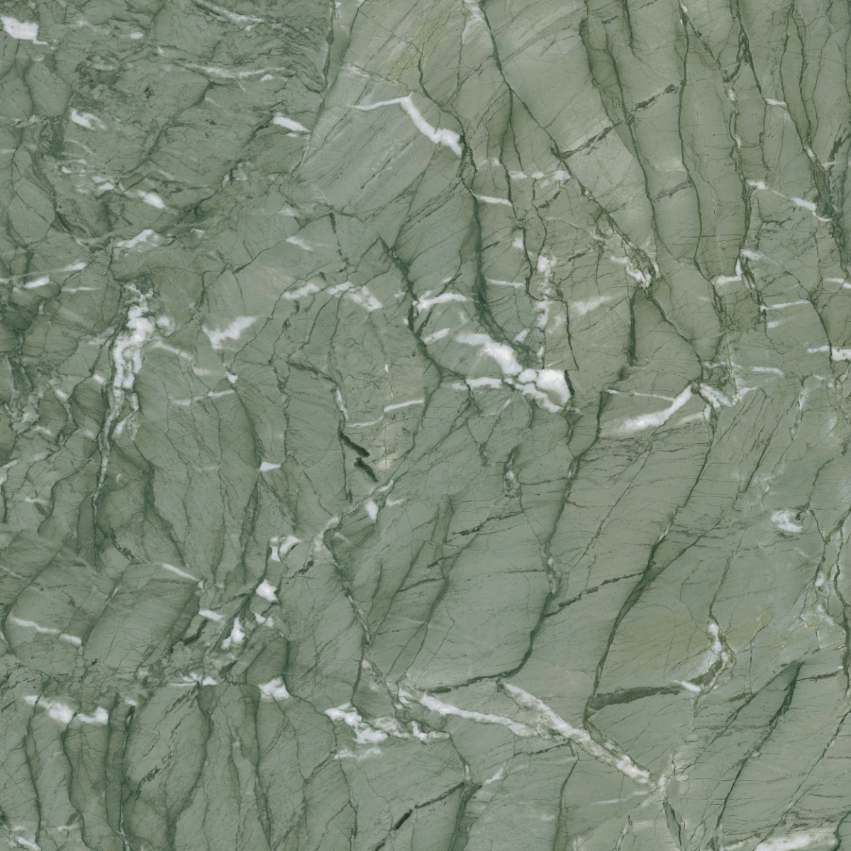 Incanto Verde Antigua Glossy Rt 75X75