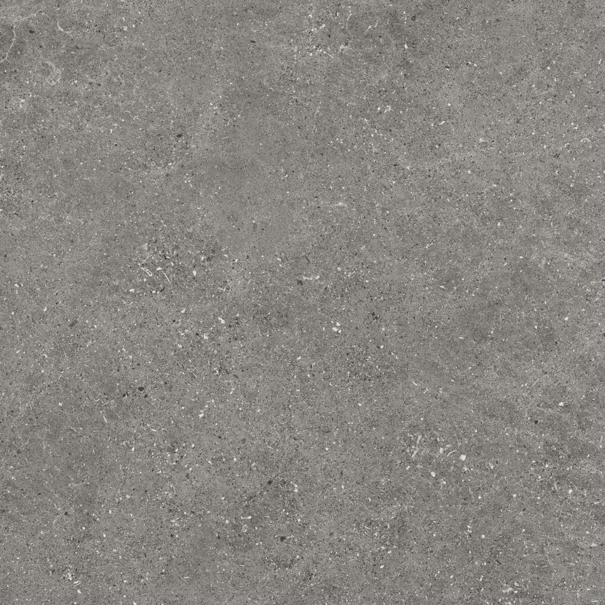 Kalksten Smoke 60X60