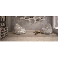 Ladoga Beige 24X95
