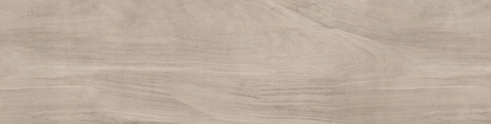 Ladoga Beige 24X95