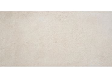 Larsen Bone  60X120