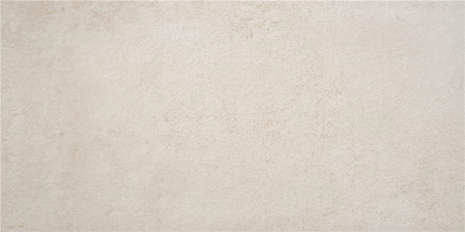 Larsen Bone  60X120