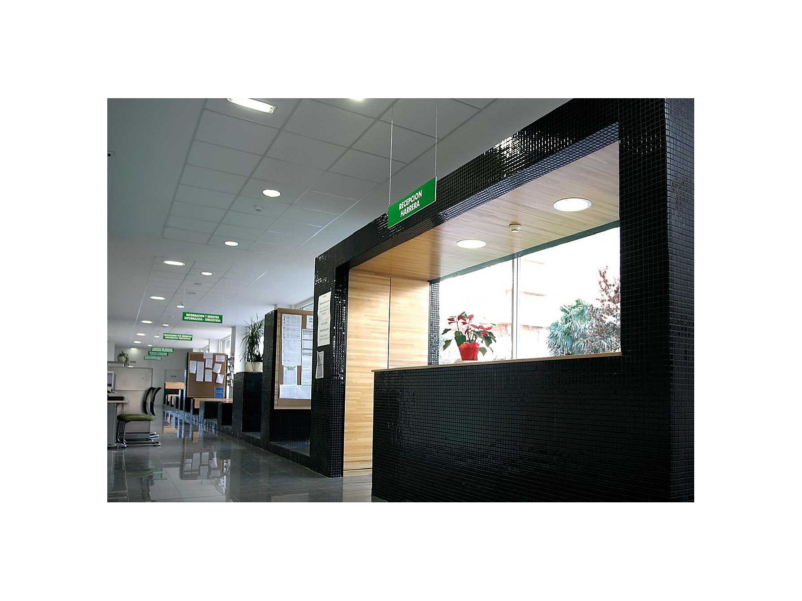 Lisa 2543-D 2,5 31,2X49,5