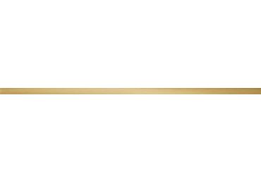 Listela  Steel Brass Pololesk 2,3X89,8