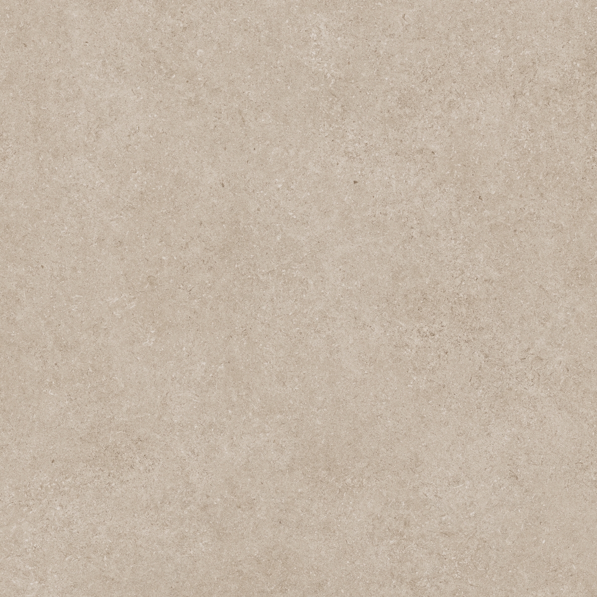 Lomma Bone  100X100