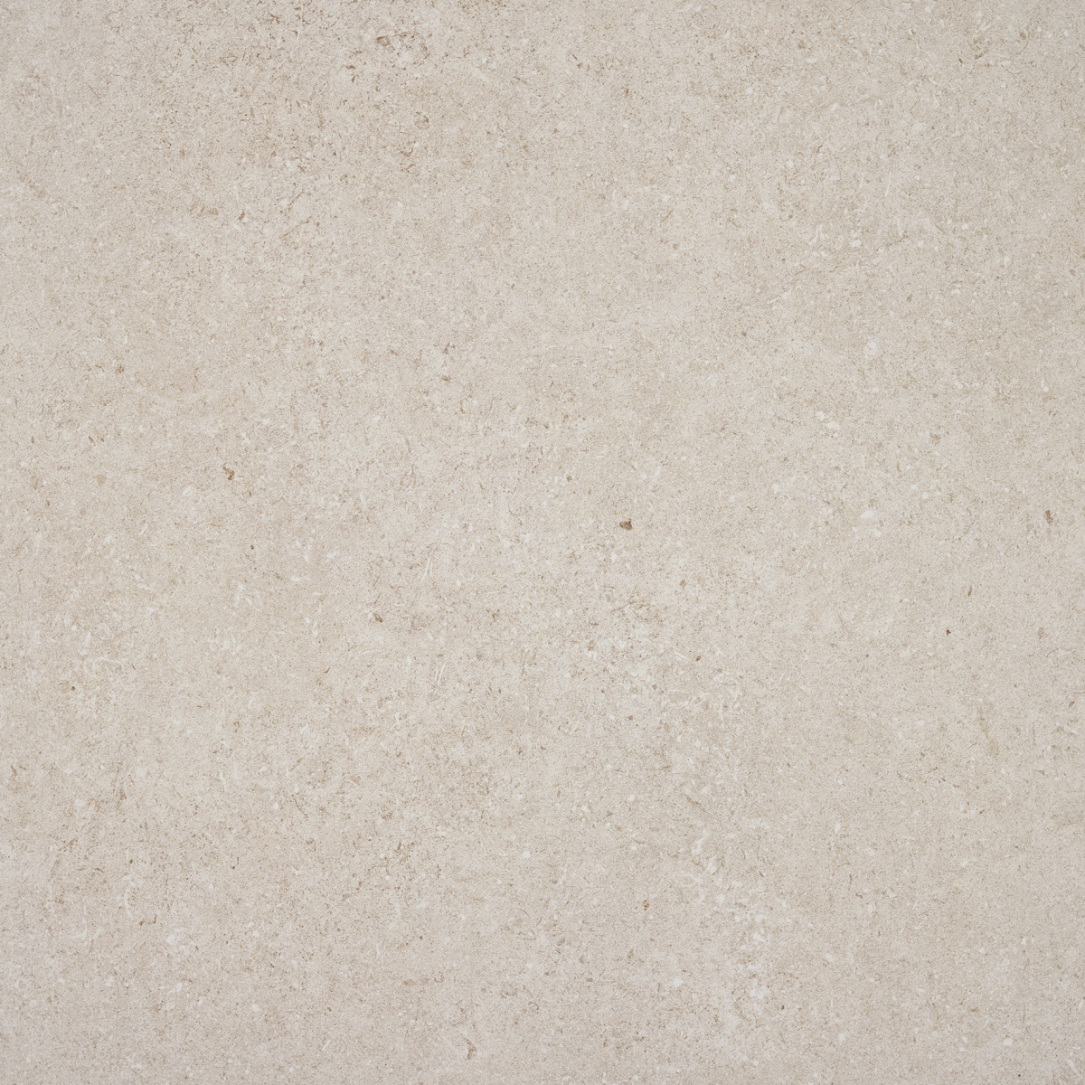 Lomma Bone  60X60