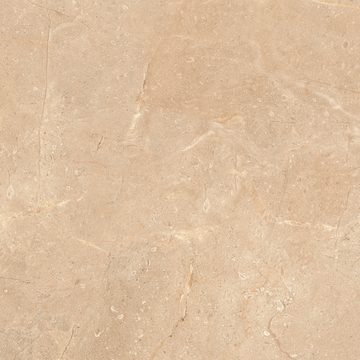 Lord Crema  Nplus 75X75