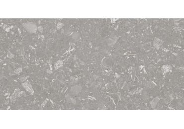 Luna-R Gris 60x120