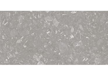 Luna-R Gris  Pulido 59,3x119,3