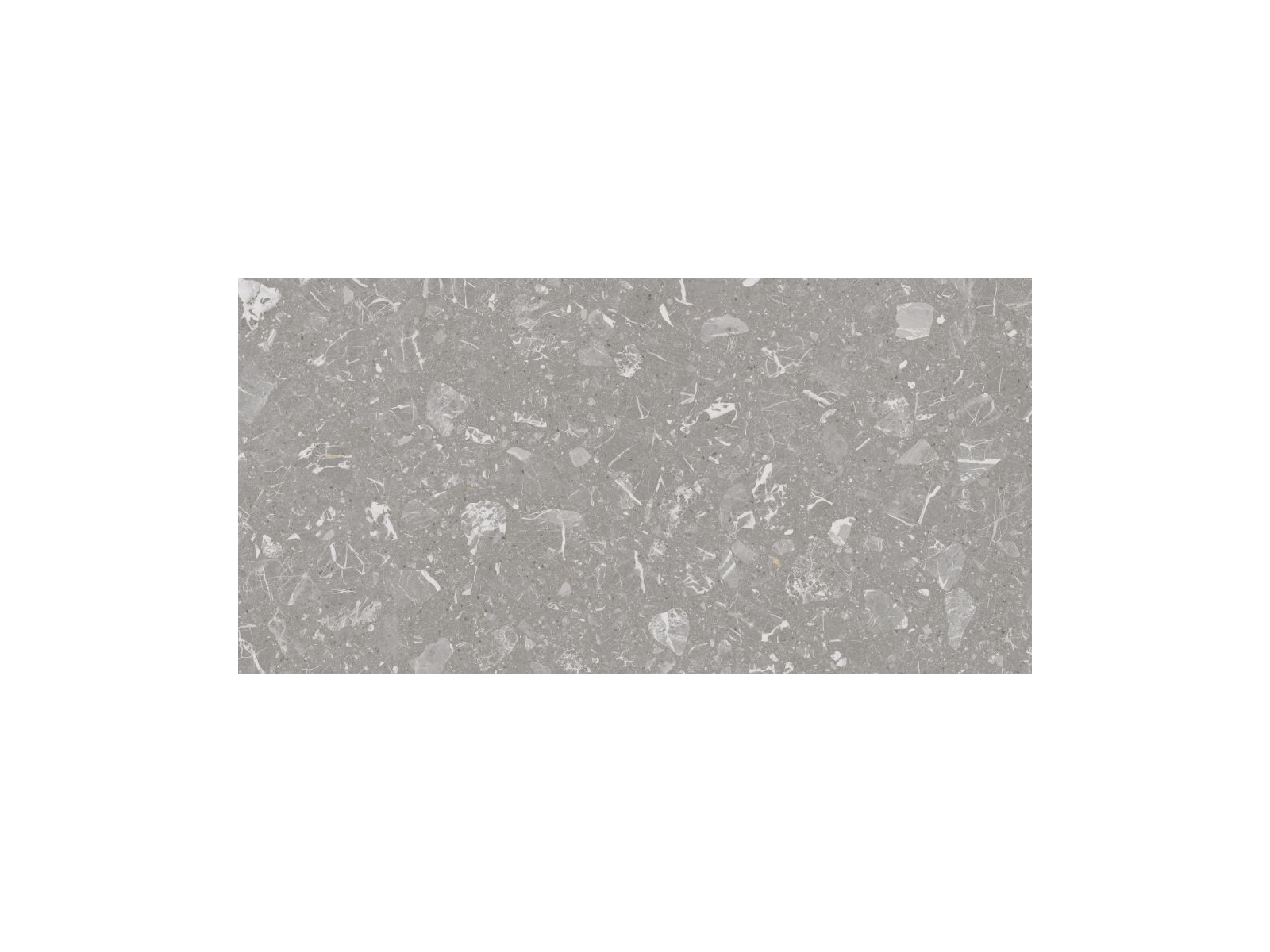 Luna-R Gris  Pulido 59,3x119,3