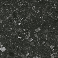 Luna-R Negro Pulido 79,3x79,3