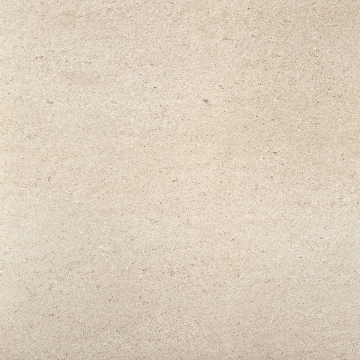 Magna Crema  100X100