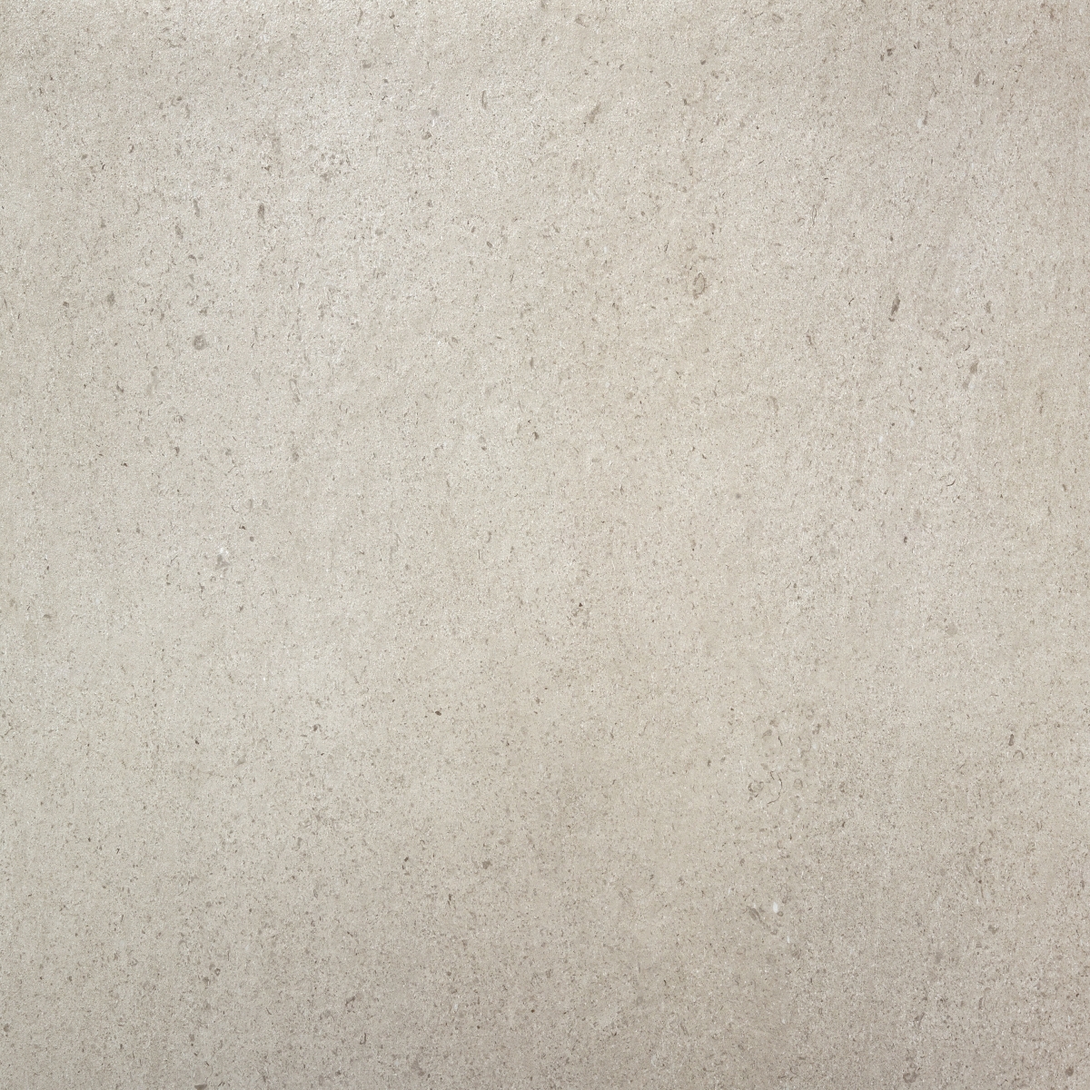 Magna Gris  100X100