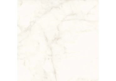 Marvel Calacatta Delicato Lappato 120×120