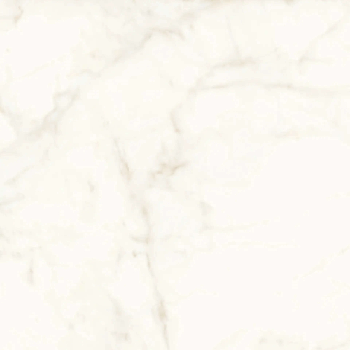 Marvel Calacatta Delicato Lappato 120×120