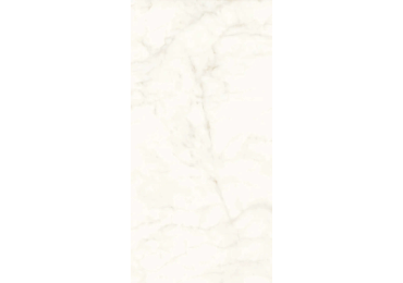 Marvel Calacatta Delicato Lappato 120×240