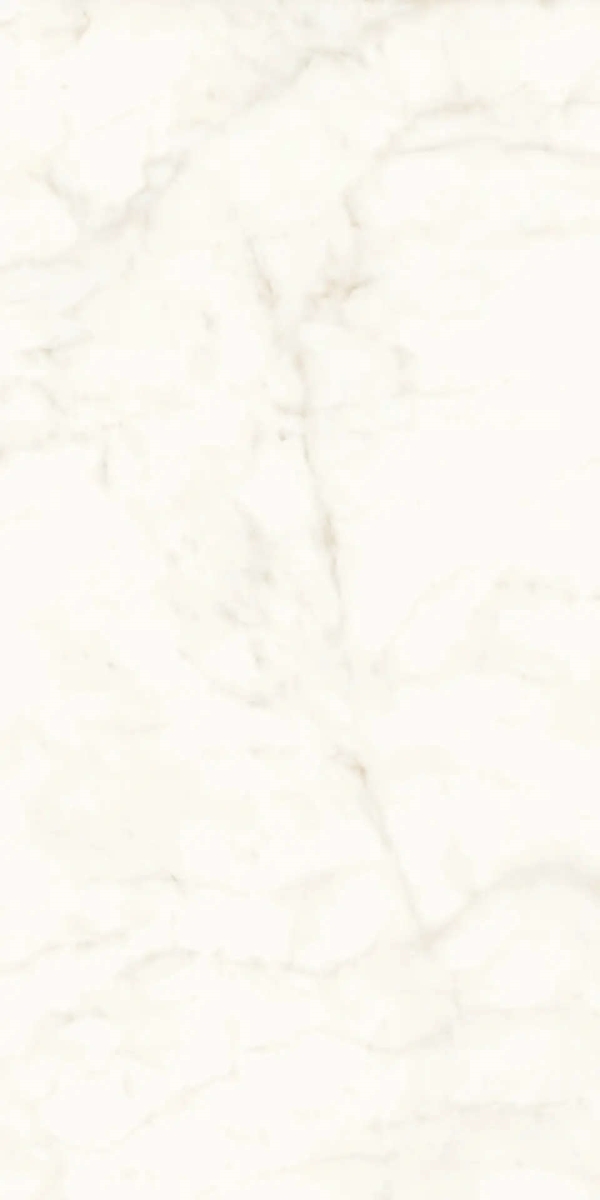 Marvel Calacatta Delicato Lappato 120×240