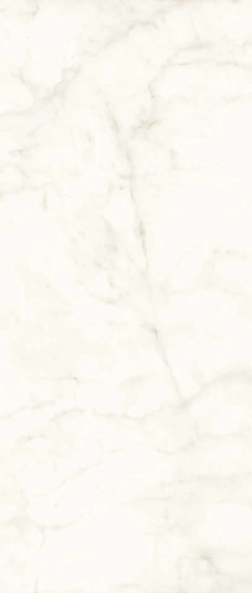 Marvel Calacatta Delicato Lappato 120×278