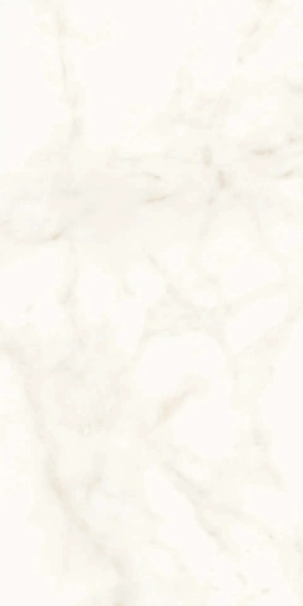 Marvel Calacatta Delicato Lappato 60×120
