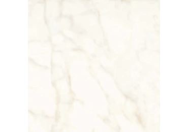 Marvel Calacatta Delicato Lappato 60×60