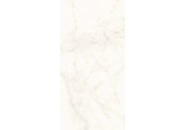 Marvel Calacatta Delicato Matt 60×120
