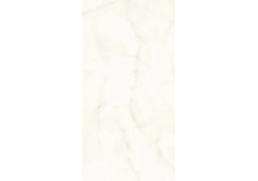 Marvel Calacatta Delicato Shiny 40×80