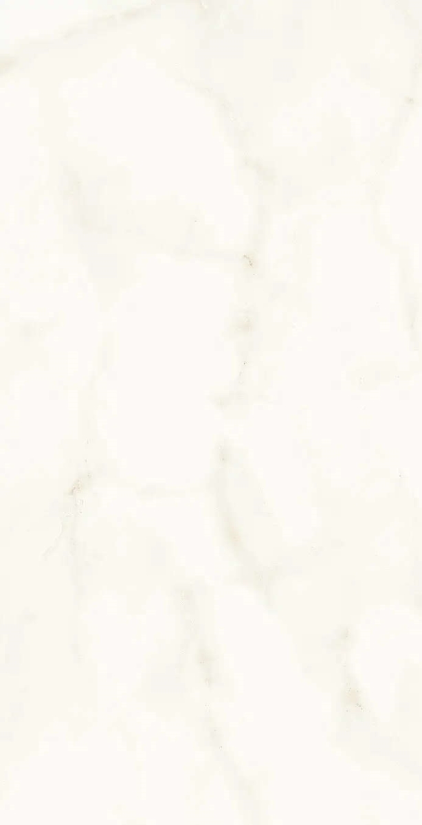 Marvel Calacatta Delicato Shiny 40×80