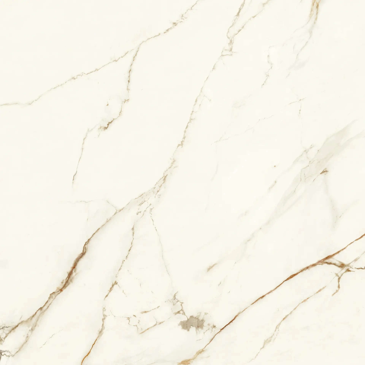 Marvel Calacatta Imperiale Matt 120×120