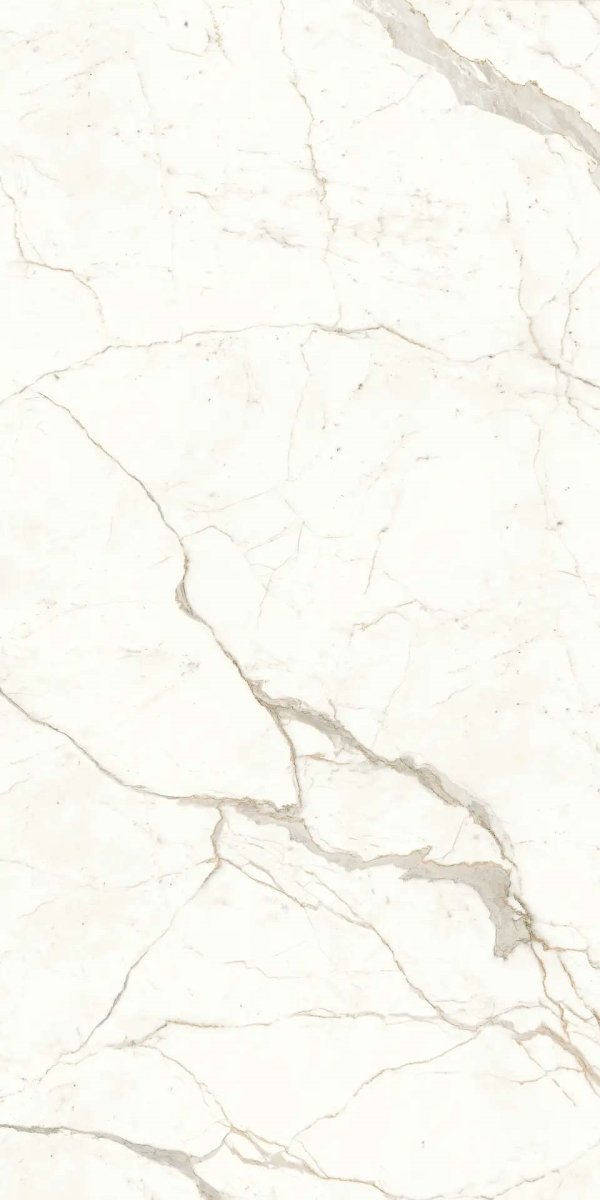 Marvel Calacatta Prestigio Lappato 120×240