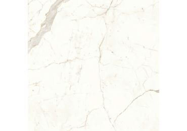 Marvel Calacatta Prestigio Matt 120×120