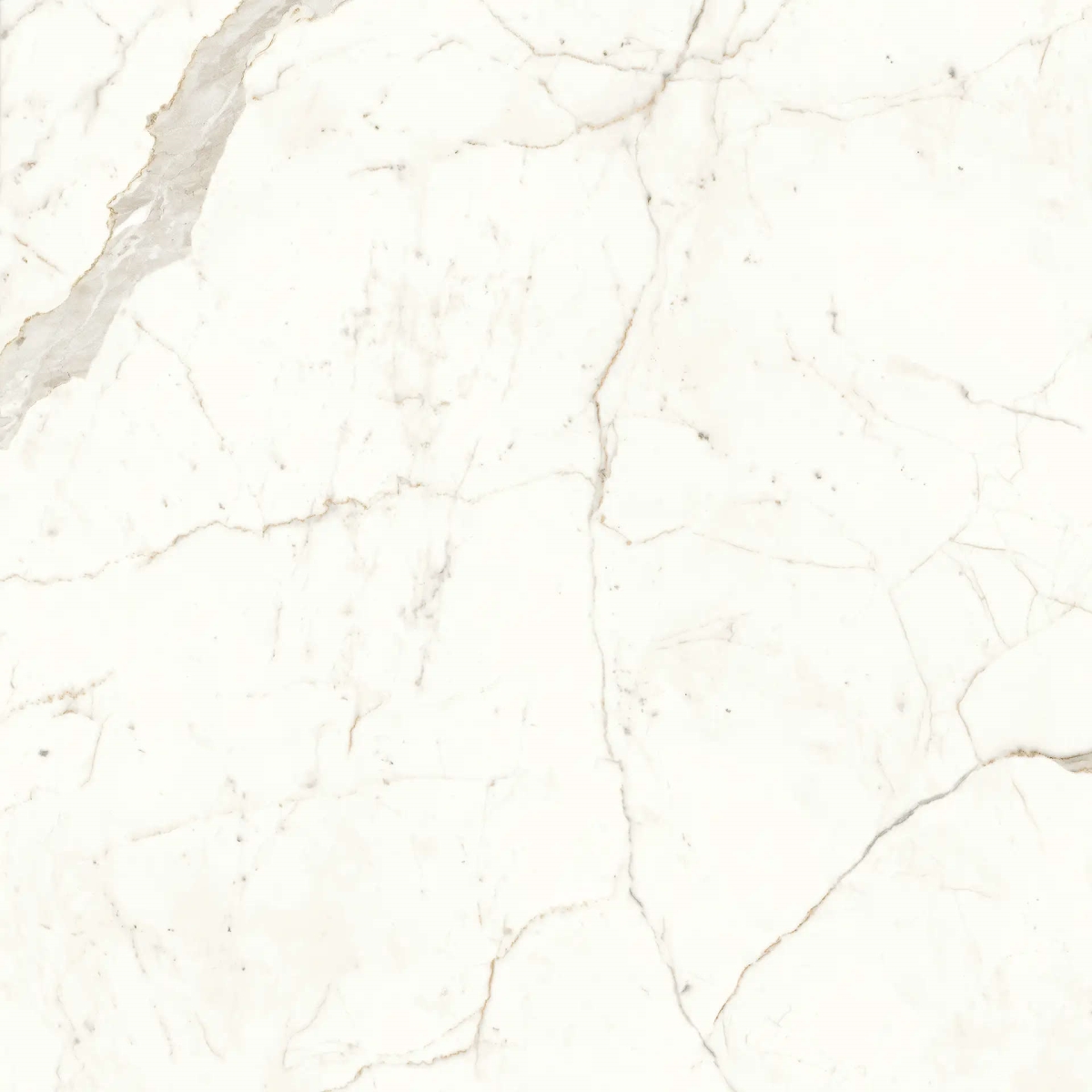 Marvel Calacatta Prestigio Matt 120×120
