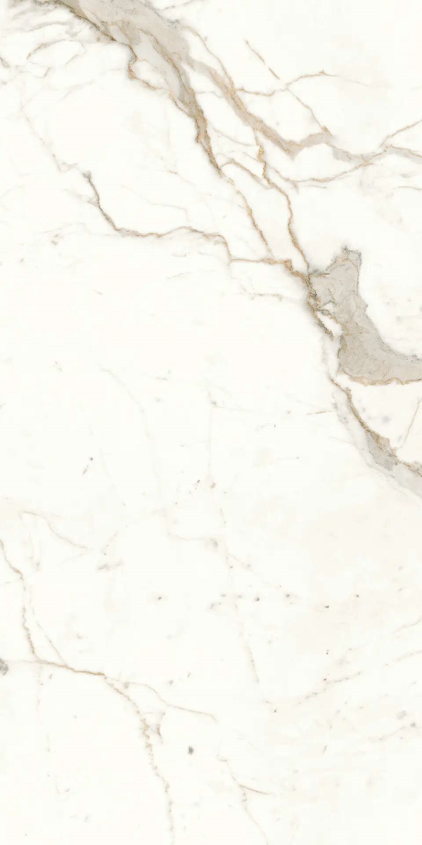 Marvel Calacatta Prestigio Matt 60×120