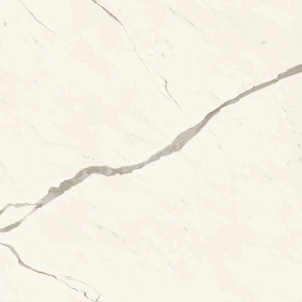 Marvel Calacatta Sublime Silk 120×120
